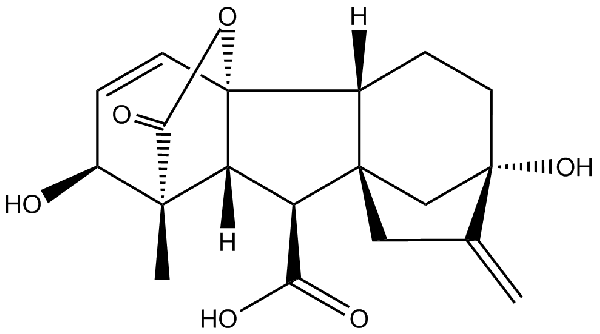 赤霉素GIBBERELLIC ACID，居然有這么神奇？